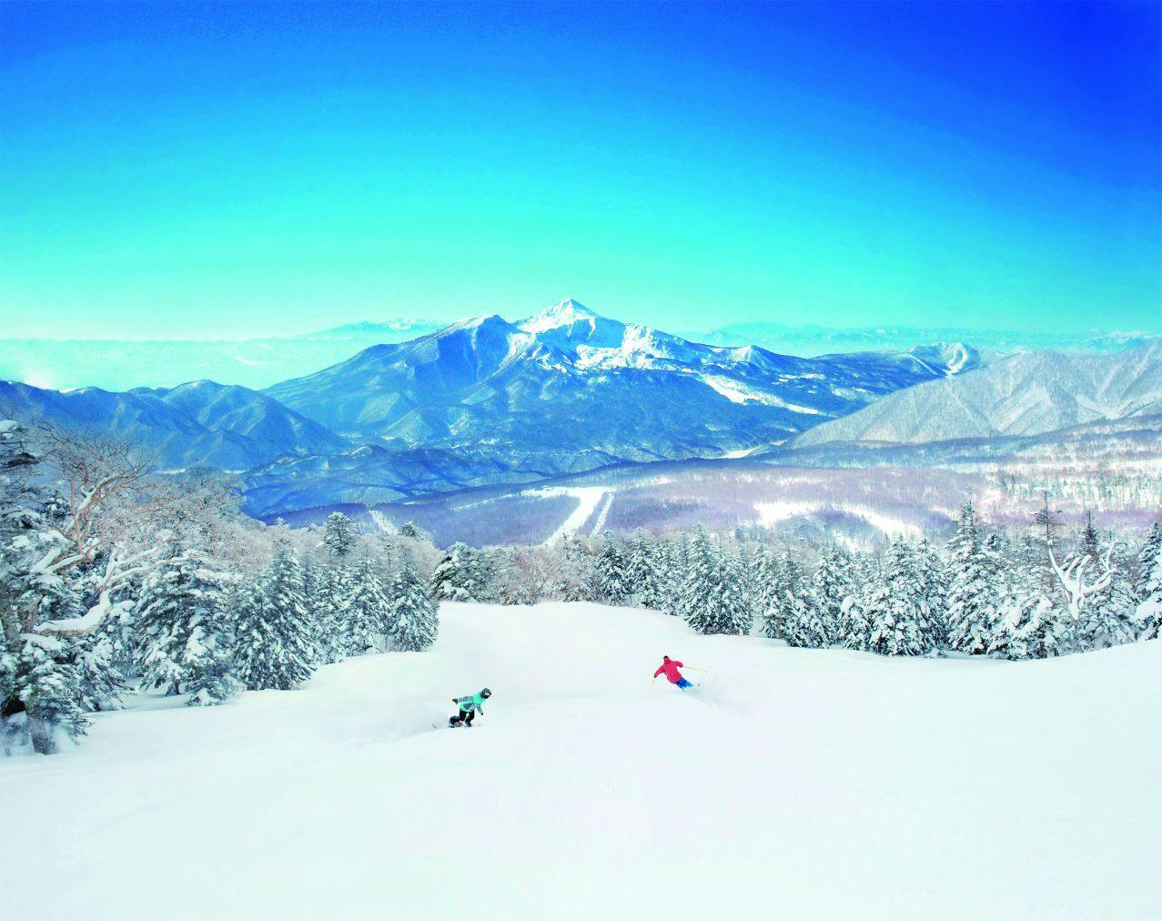 84d4daf7-7629-4a47-a8f9-