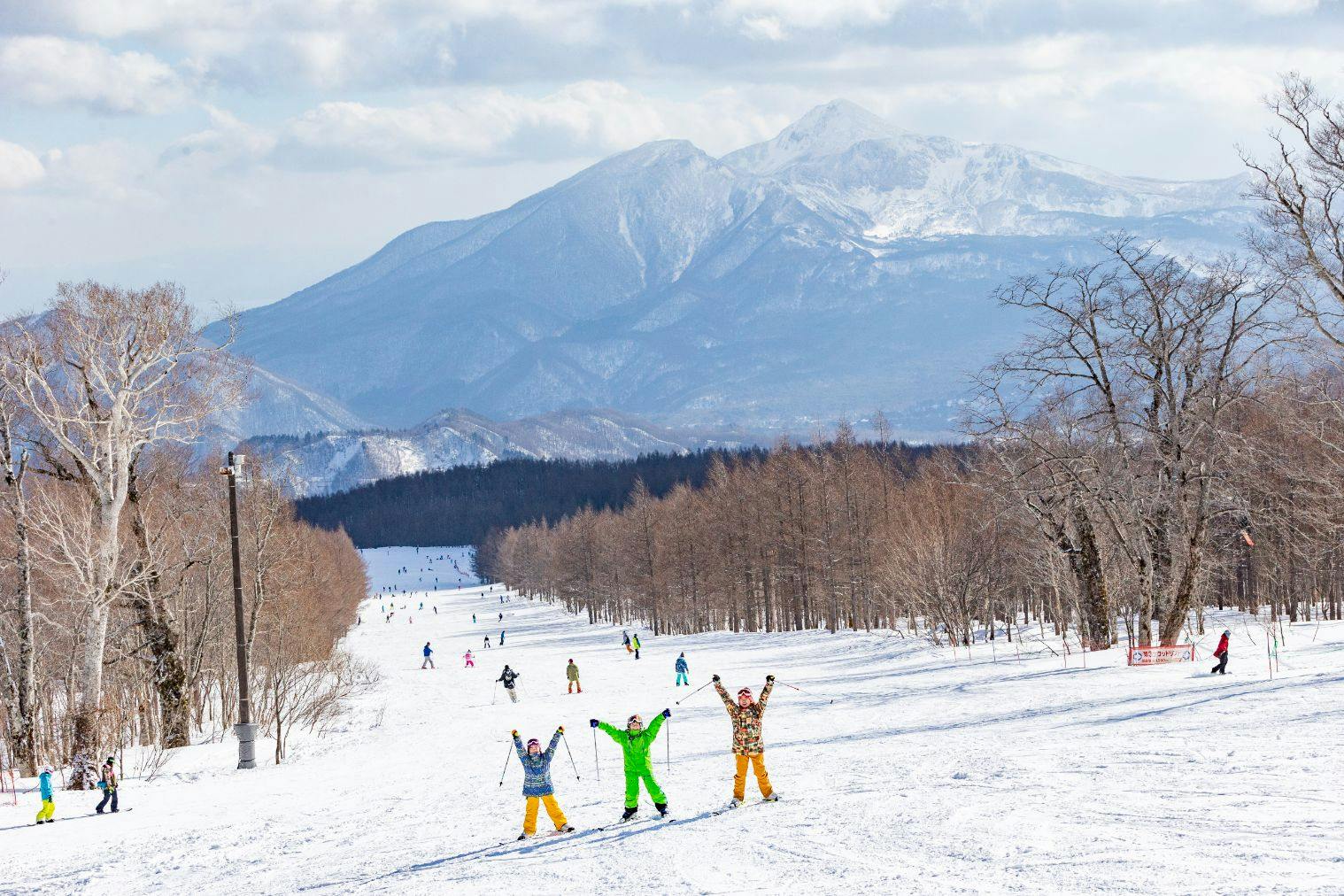 グランデコ リフト券１日券 3枚 グランデコ 早割リフト1日券