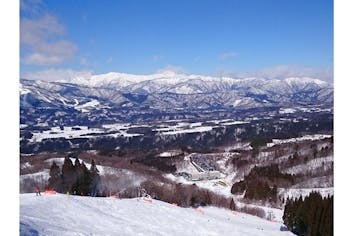 購入日の翌日から使用可／土日祝限定・最大700円割引】ホワイト