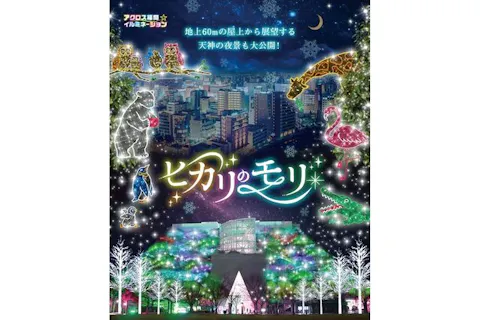 【前売券】アクロス福岡イルミネーション　入場チケット（2023年）