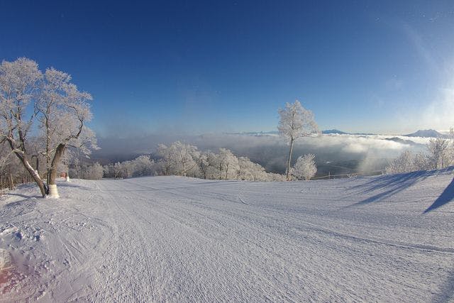 【平日限定・500円割引】めいほうスキー場　リフト大人1日券+食事券付き