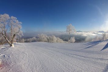 めいほうスキー場　リフト券 WEBチケット販売｜岐阜県奥美濃・関西最大級 / めいほうスキー場