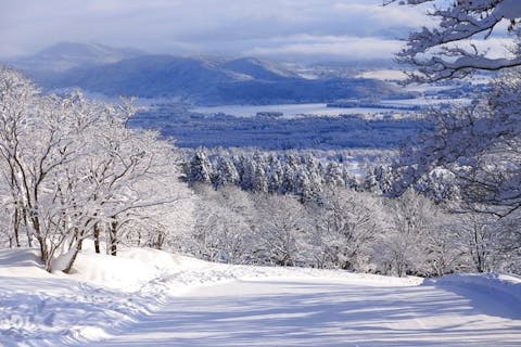 【1,000円割引】赤倉温泉スキー場　5時間券ランチパック（リフト5時間＋ランチ※1,500円相当）