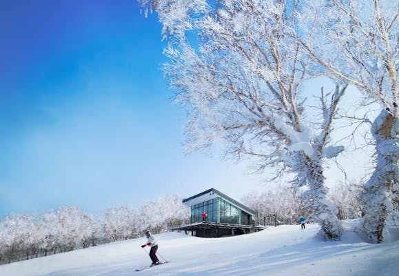 超特割！【17％割引】函館七飯スノーパークなど系列3スキー場共通