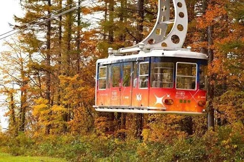 【100円割引】雫石紅葉ロープウェー オータムウォーク　ロープウェー往復乗車券（ワンちゃん同乗可）