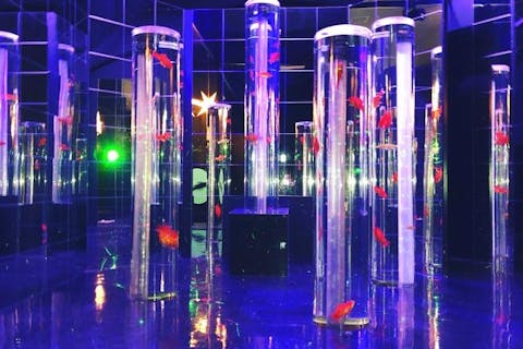 【最大20%割引】魚や動物と触れ合える幻想的な水族館 アクアテラス錦ケ丘 WEB入館券