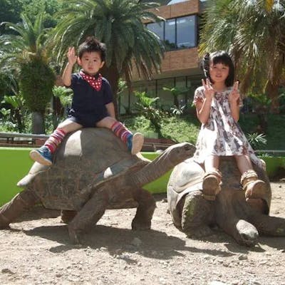 最大200円割引】KawaZoo&iZoo共通入園券|アソビュー! 最大200円割引】KawaZoo&iZoo共通入園券|アソビュー!