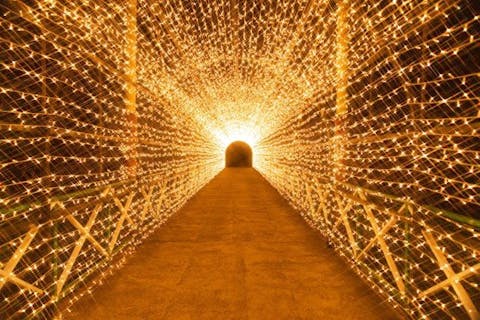 イルミネーション開催日 16:00～入園＋アトラクション ナイトパス券