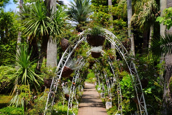 15%割引】江の島シーキャンドル×新江ノ島水族館｜割引チケット