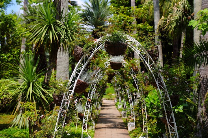 江の島シーキャンドル×新江ノ島水族館