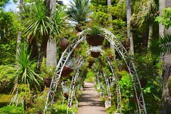 江の島シーキャンドル×新江ノ島水族館｜割引チケット・クーポンなら