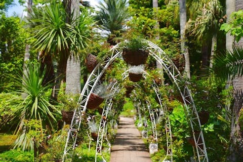 江の島の人気スポット5施設をお得に観光できる！えのしまえのすいエリアパスポート