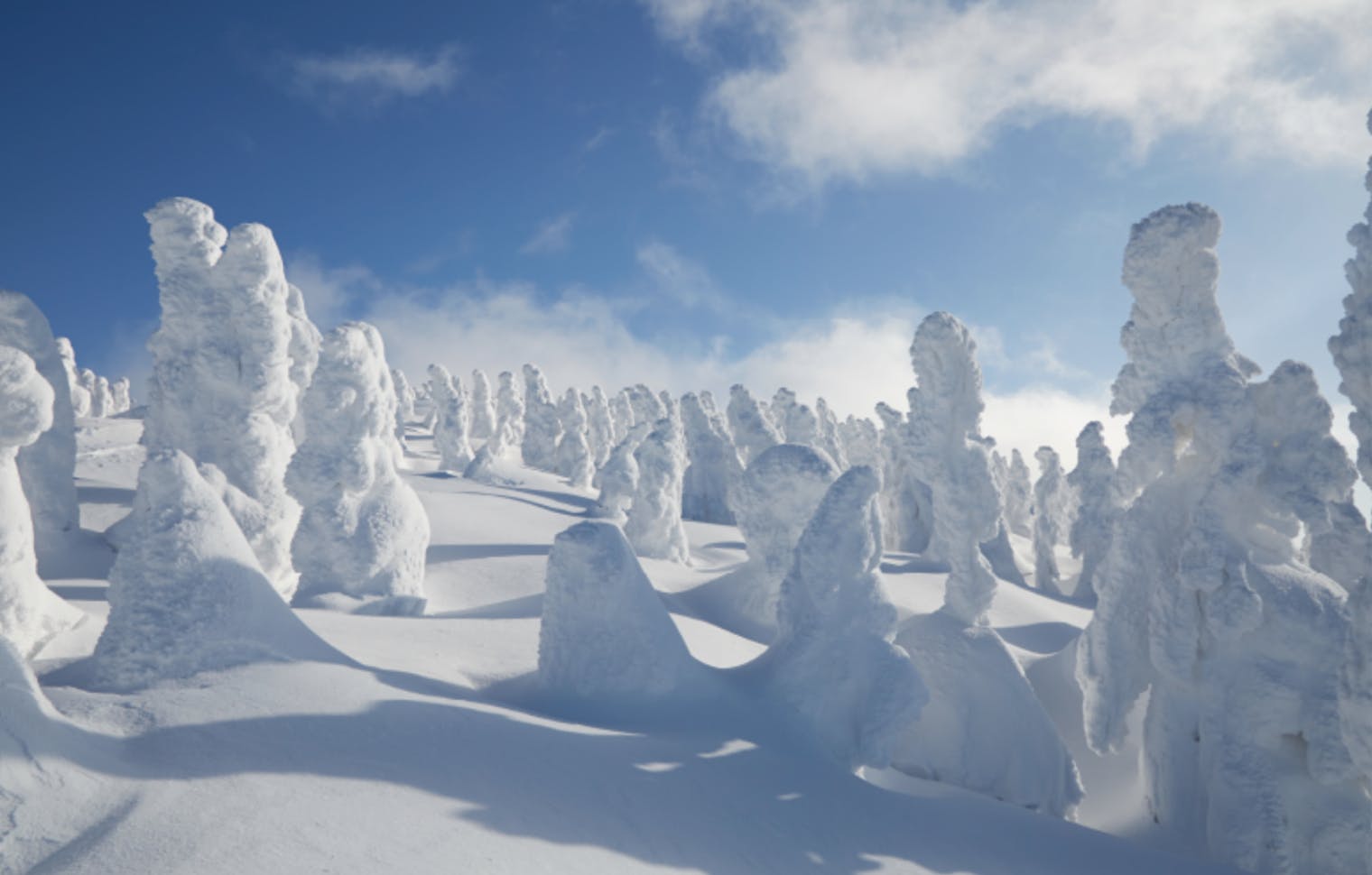 【平日（年末年始除く）／秋田冬アソビ割クーポン】阿仁スキー場　樹氷鑑賞ゴンドラ往復券
