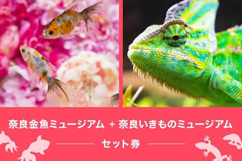 超特割！【最大16％割引】奈良金魚ミュージアム×奈良いきものミュージアム　共通チケット　※9/22~