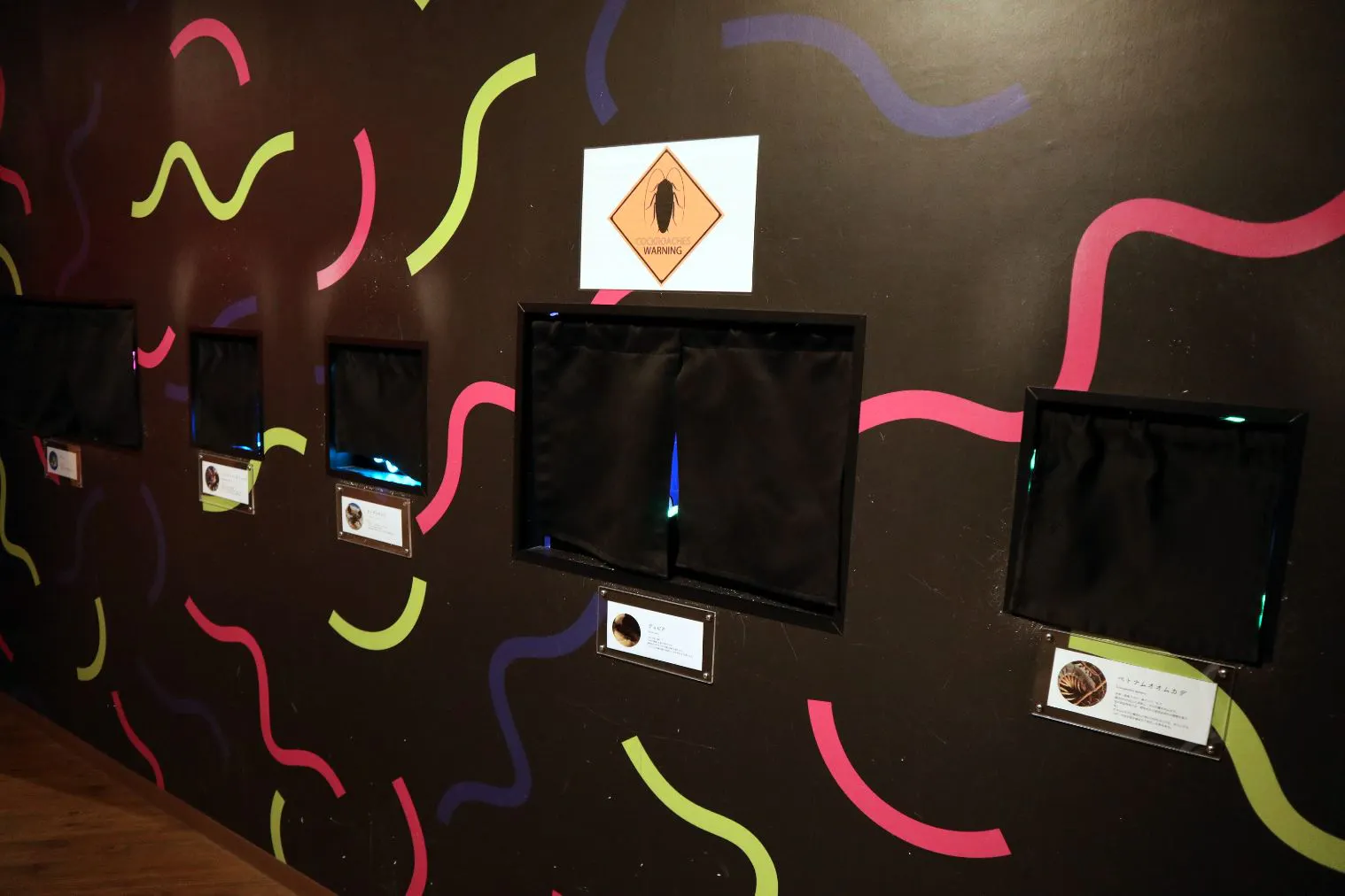 金魚の餌やり体験付き】KINGYO MUSEUM × IKIMONO MUSEUM 共通チケット