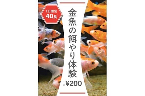 【金魚の餌やり体験付き】KINGYO MUSEUM × IKIMONO MUSEUM 共通チケット