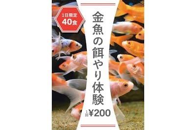 38explore MIYABI RICH SOMABITO kingyo 金魚 38灯 MIYABI RICH somabito 金魚 - メルカリ