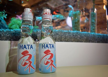 【ラムネ付き】KINGYO MUSEUM × IKIMONO MUSEUM 共通チケット