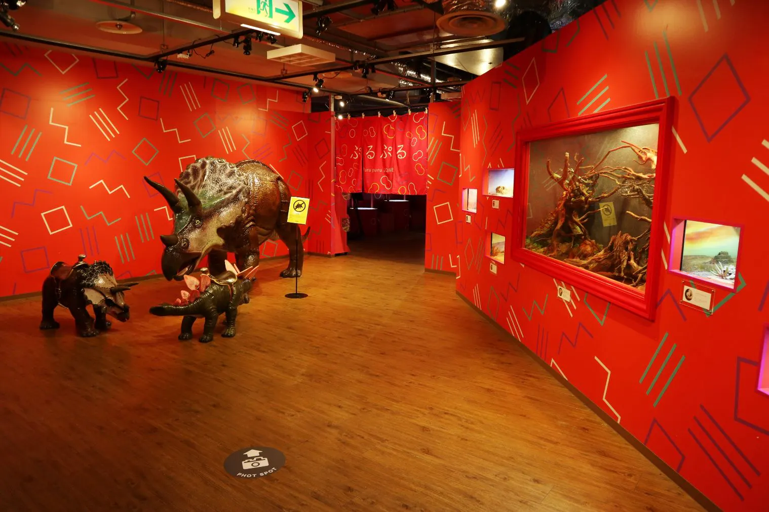 金魚すくい体験付き】KINGYO MUSEUM × IKIMONO MUSEUM 共通チケット