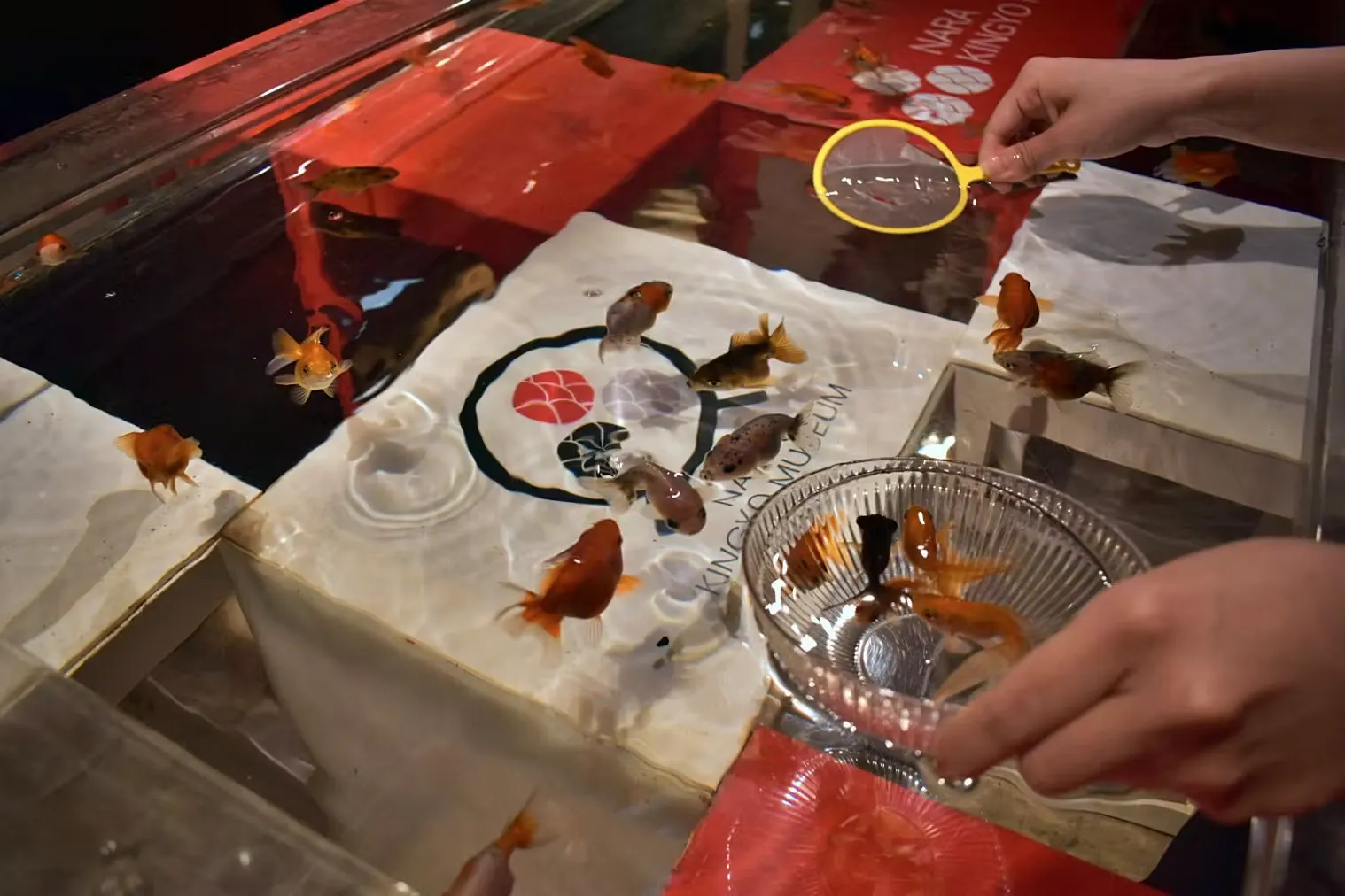 【金魚すくい体験付き】KINGYO MUSEUM入場チケット