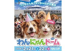 前売り券】わんにゃんドーム2026 in Aichi Sky Expo｜アソビュー！