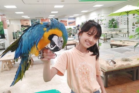 いきもの探検隊上尾店　電子前売り入場チケット