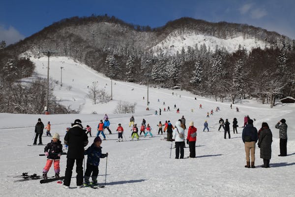 田沢湖スキー場 小学生リフト一日券引換券 - スキー場