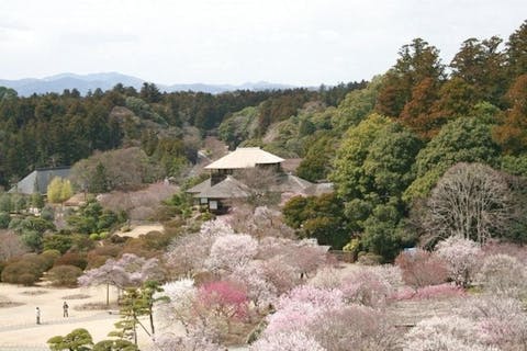 偕楽園本園・偕楽園好文亭・弘道館　セット券