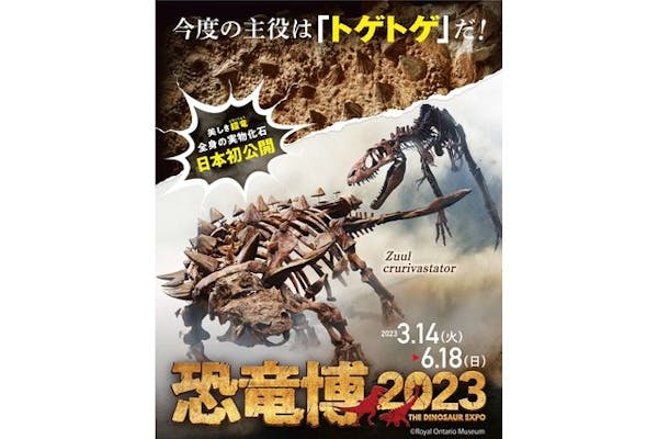 特別展「恐竜博2023」 2023年3月14日（火）～6月18日（日） 国立科学博物館｜アソビュー！