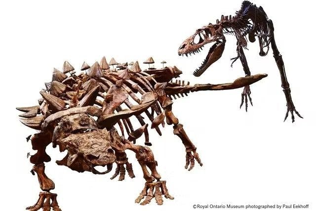 ほねほねザウルス 究極超帝竜 アイスワイバーン アロ スピノサウルス
