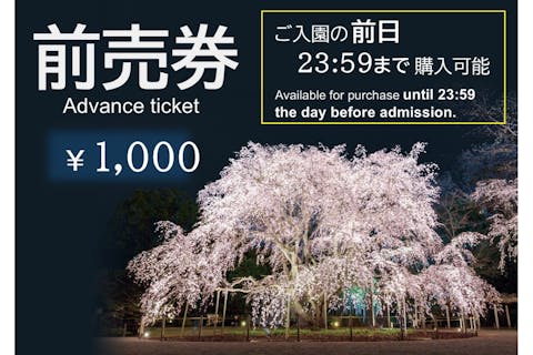 【前売券（200円割引）購入期限：前日】「春夜の六義園」夜間特別観賞券 3/18～3/24