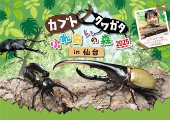 カブト・クワガタふれあいの森 in 仙台 2025 親子ペア（大人+こども