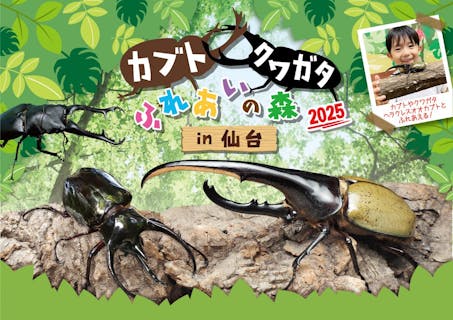 カブト・クワガタふれあいの森 in 仙台 2025　親子ペア（大人+こども）入場チケット