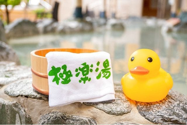 【平日・最大50円割引】極楽湯　宇都宮店　入浴チケット