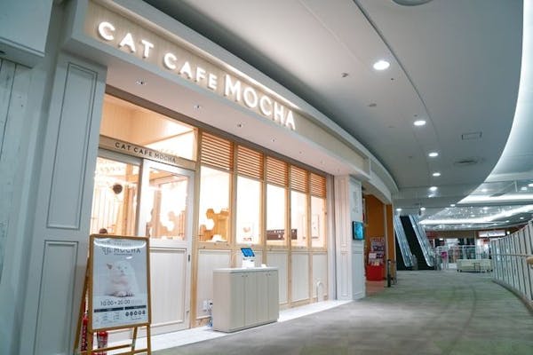 超特割！【平日・21％割引】猫カフェモカ イオンモール東久留米