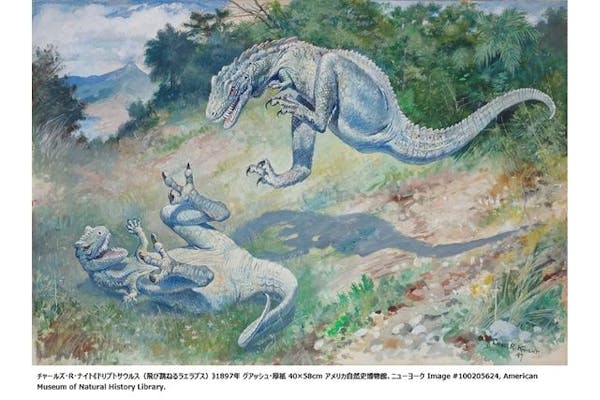 恐竜図鑑 東京展 期限付き無料観覧券 6/30まで 2枚\r\n上野の森美術館