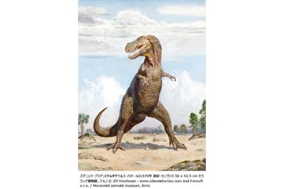 恐竜図鑑チケット