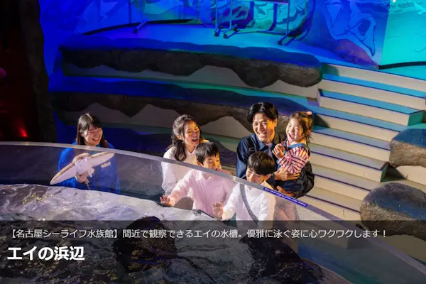 ☆【前売券】「レゴランド＋名古屋シーライフ水族館」コンボ1DAY