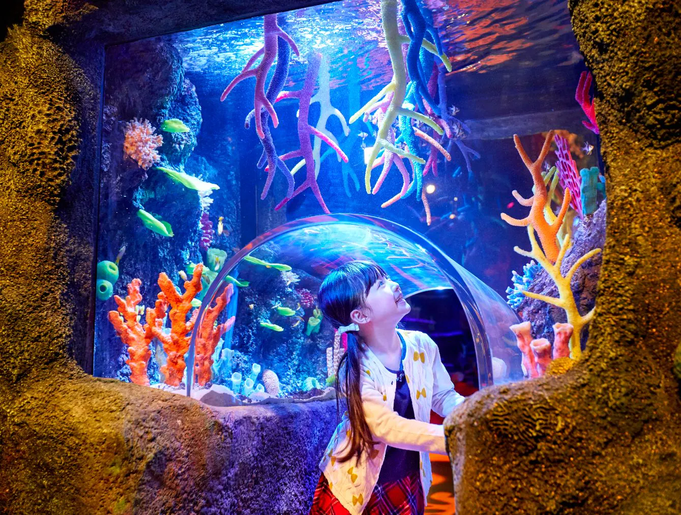 ☆【当日券】「レゴランド＋名古屋シーライフ水族館」コンボ1DAY 
