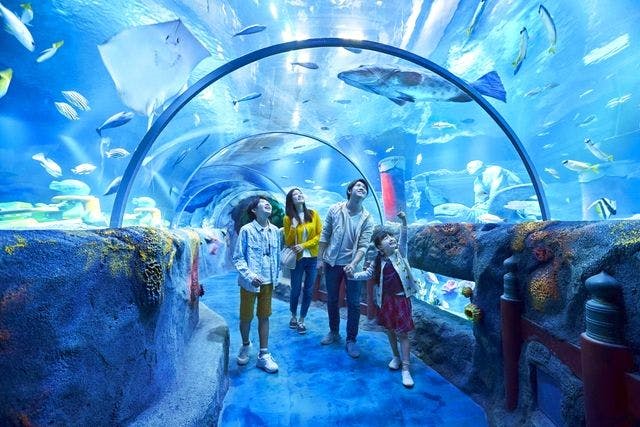 お値下げしました！レゴランド　シーライフ名古屋パスポート　大人二枚 ☆【当日券】レゴランドⓇ・ジャパン・リゾート シーライフ名古屋 1DAY