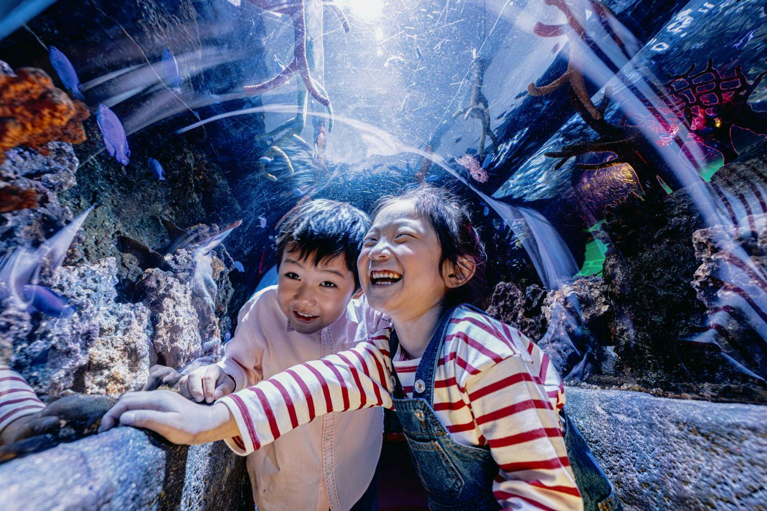 ★【当日券】レゴランドⓇ・ジャパン・リゾート　名古屋シーライフ水族館 1DAYパスポート
