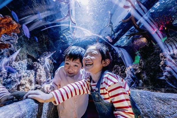 ☆【当日券】10%ポイント還元中！レゴランドⓇ・ジャパン・リゾート