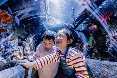 ☆【当日券】レゴランドⓇ・ジャパン・リゾート 名古屋シーライフ