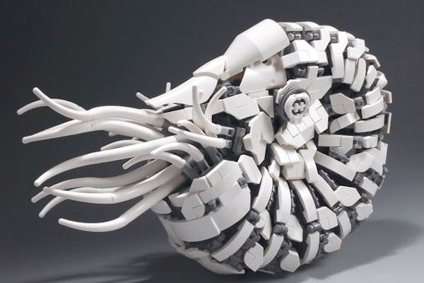 ☆【当日券】レゴランドⓇ・ジャパン・リゾート シーライフ名古屋 1DAY