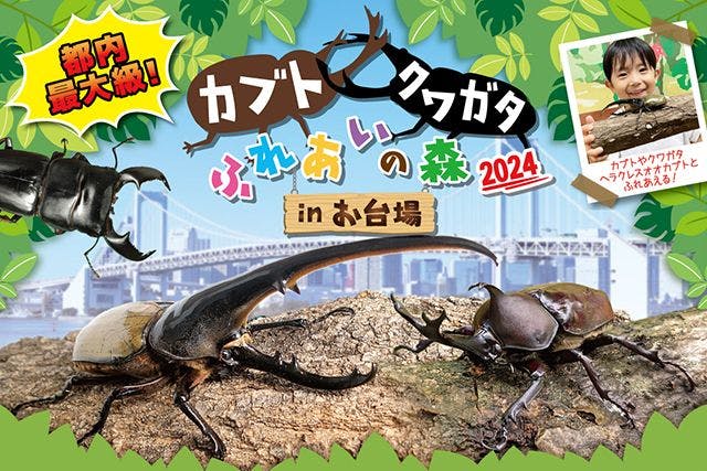 カブト・クワガタふれあいの森 in お台場 2024　入場チケット