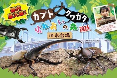 カブト・クワガタふれあいの森 in お台場 2024 親子ペア（大人+こども）入場チケット｜アソビュー！