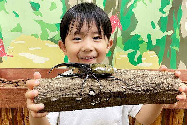 桃鈴ねね × 昆虫展 in ふれあいの森 トレーディングポラカード
