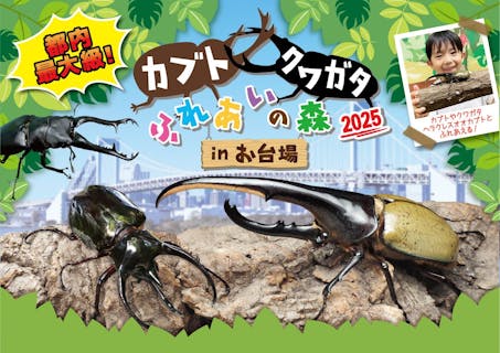 カブト・クワガタふれあいの森 in お台場 2025　親子ペア（大人+こども）入場チケット
