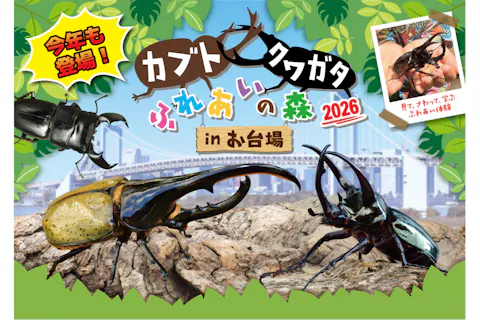 【平日限定】カブト・クワガタふれあいの森 in お台場 2026　入場チケット