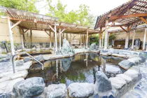 平日】スーパー健康ランド 華のゆ 羽生 フリータイムチケット